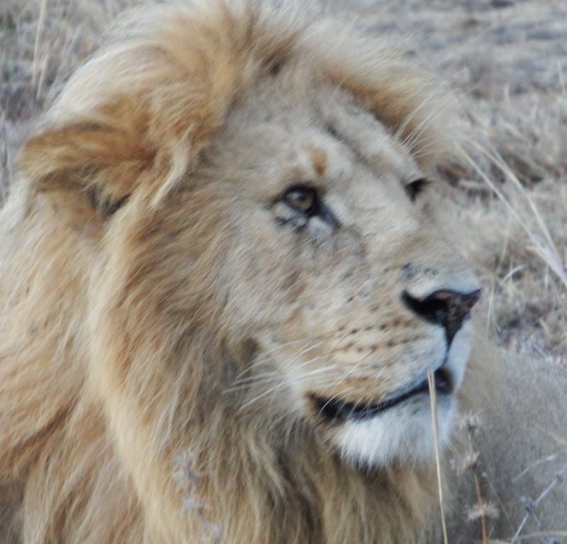 8 Days Lake Turkana Road Safari